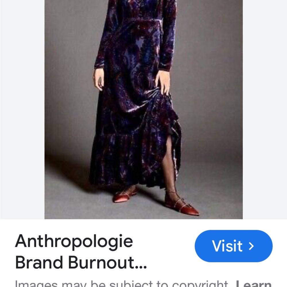 Anthropologie velvet burn out maxi dress NWT
